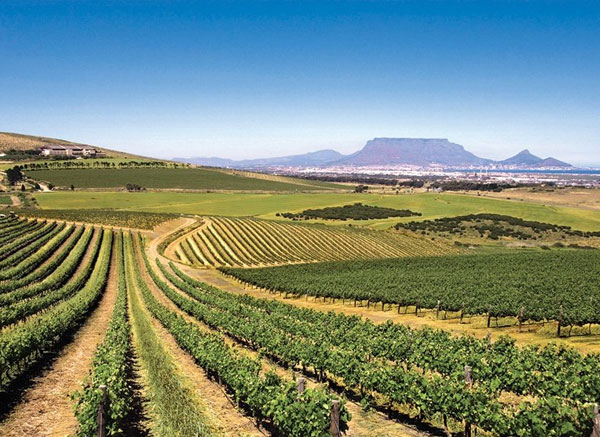 Durbanville Wine Valley Image